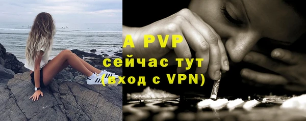 mdpv Богородицк